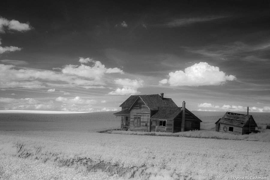 Weber House and Farm in Infrared